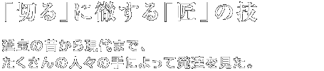 「切る」に徹する「匠」の技 延宝の昔から現代まで、たくさんの人々の手によって発達を見た。